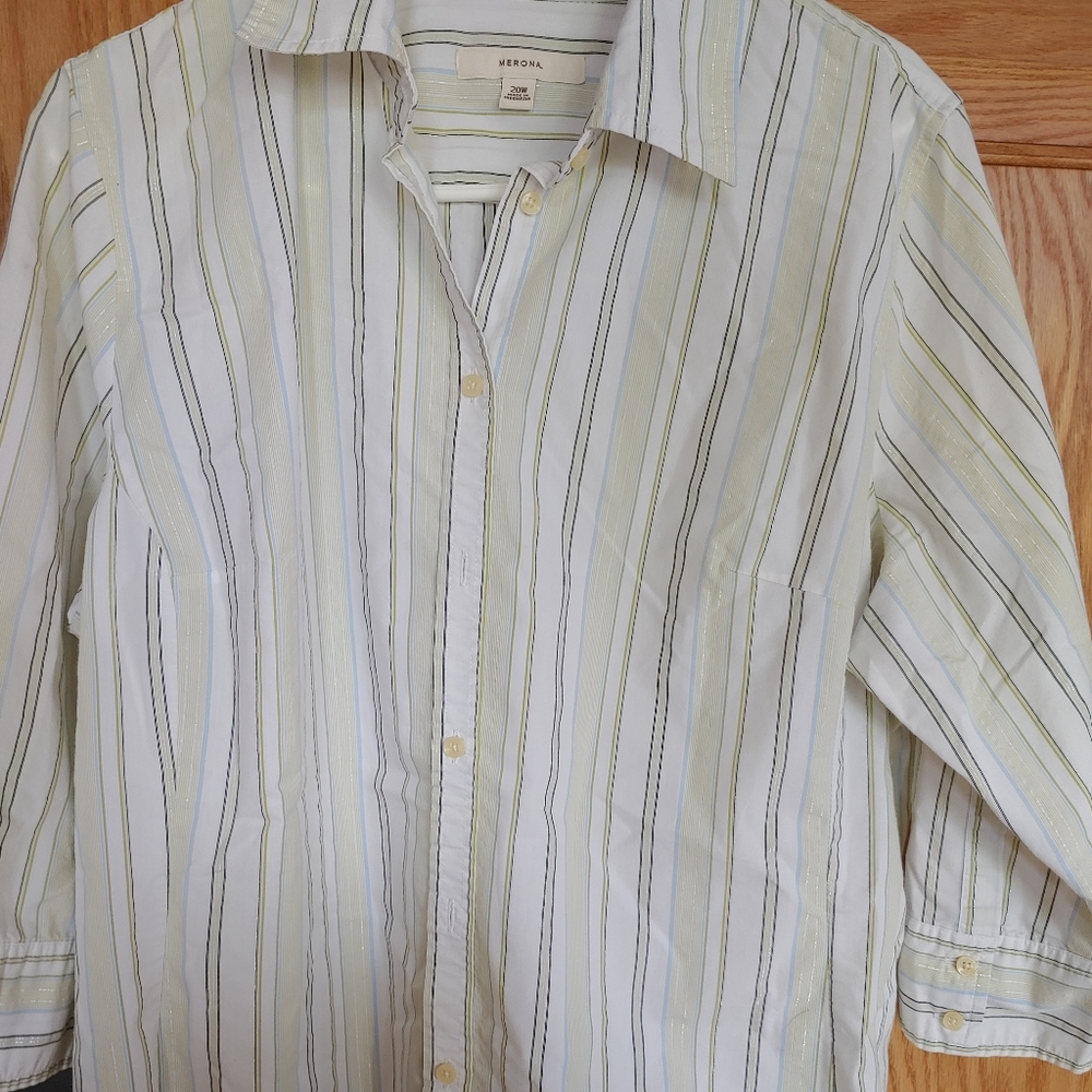 Simple stripped button down shirt.